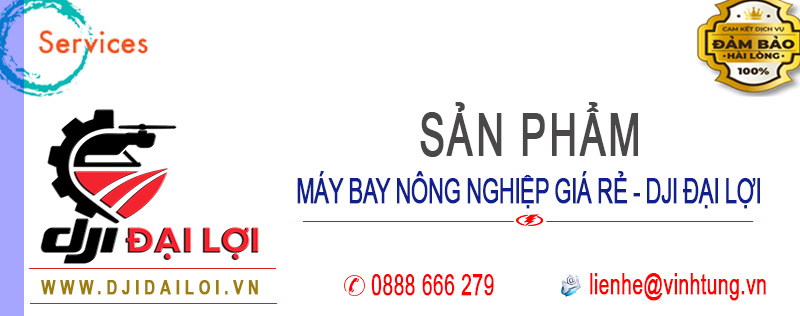 Sản phẩm
