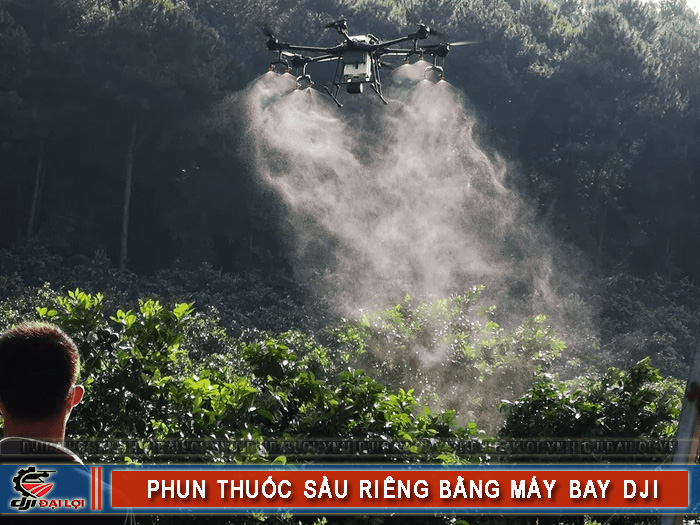 Phun thuốc sầu riêng bằng máy bay DJI hiệu quả tốt không?
