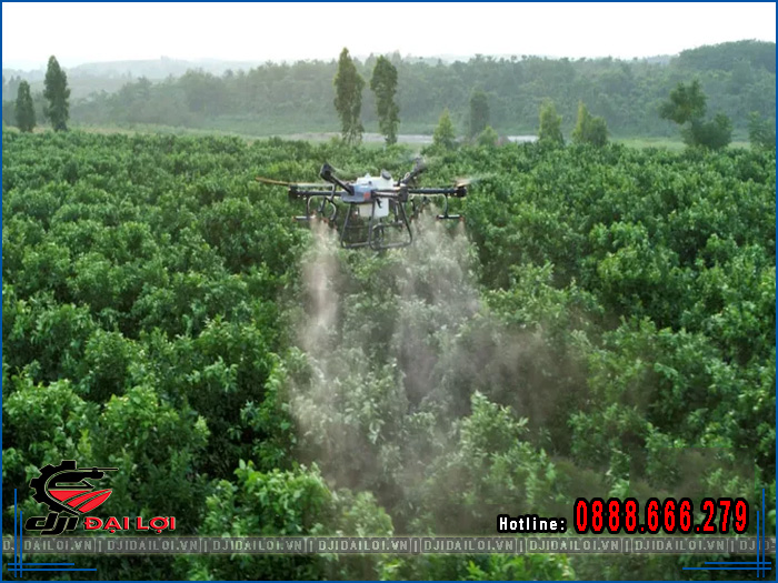 Phun thuốc sầu riêng bằng máy bay DJI hiệu quả tốt không?
