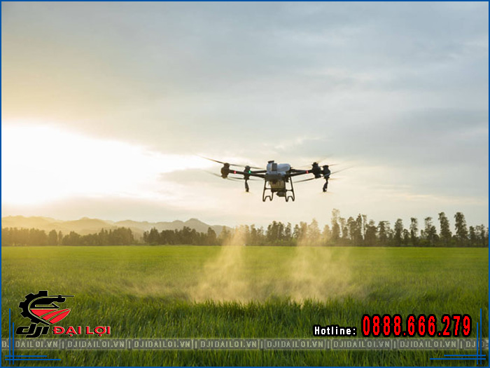 Kinh nghiệm chọn máy bay xịt thuốc phù hợp từng loại lúa