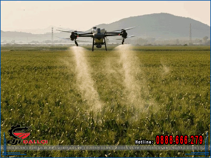 Đánh giá máy bay xịt thuốc T50 về năng suất và hiệu quả phun