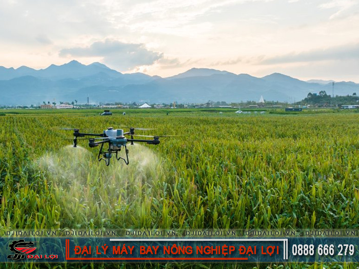 Hiệu quả phun thuốc bằng flycam thực tế có tốt không?