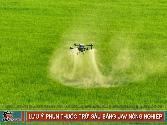 Phun thuốc trừ sâu bằng máy bay không người lái lưu ý gì?