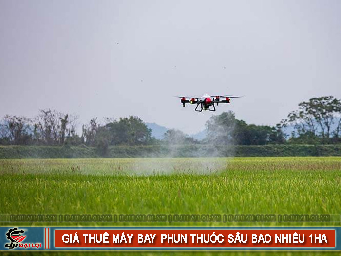 Chi phí thuê máy bay phun thuốc trừ sâu bao nhiêu 1 ha?