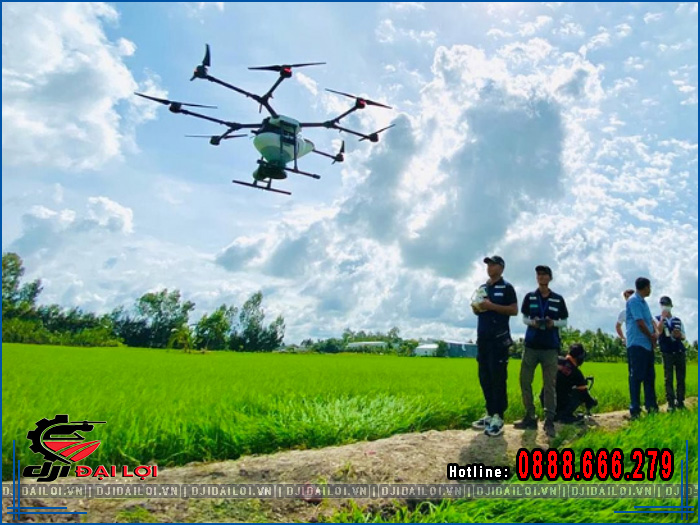 Chi phí thuê máy bay phun thuốc trừ sâu bao nhiêu 1 ha?