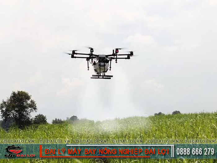 Experience using pesticide-spraying drone to save costs
